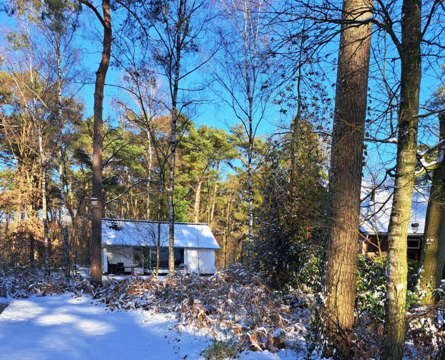 Bungalow, Vrijstaand, Het Vosseven Nr 38 Stramproy Exteriör bild