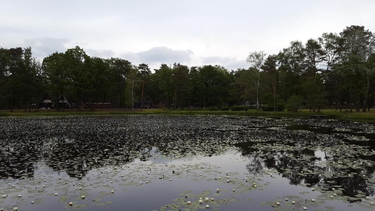 Bungalow, Vrijstaand, Het Vosseven Nr 38 Stramproy Exteriör bild